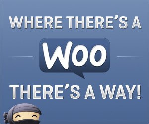 WooThemes - Where there's a Woo, there's a way!